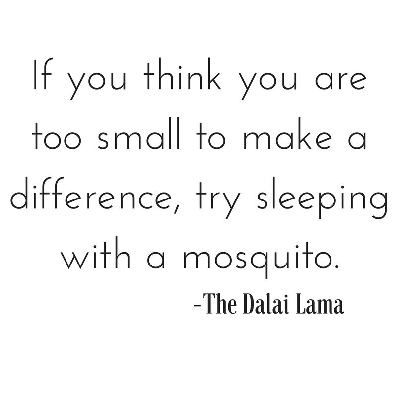 if-you-think-you-are-too-small-to-make-a-difference-try-sleeping-with-a-mosquito-the-dalai-lama