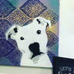 Dog portraits