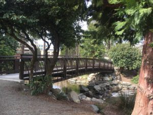 The bridge without the right tree