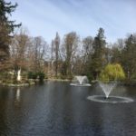 The pond with no mother tree in sight