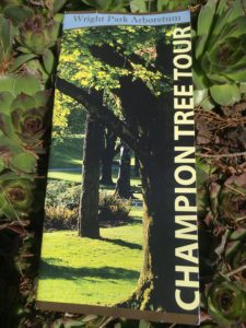 The unhelpful tree map