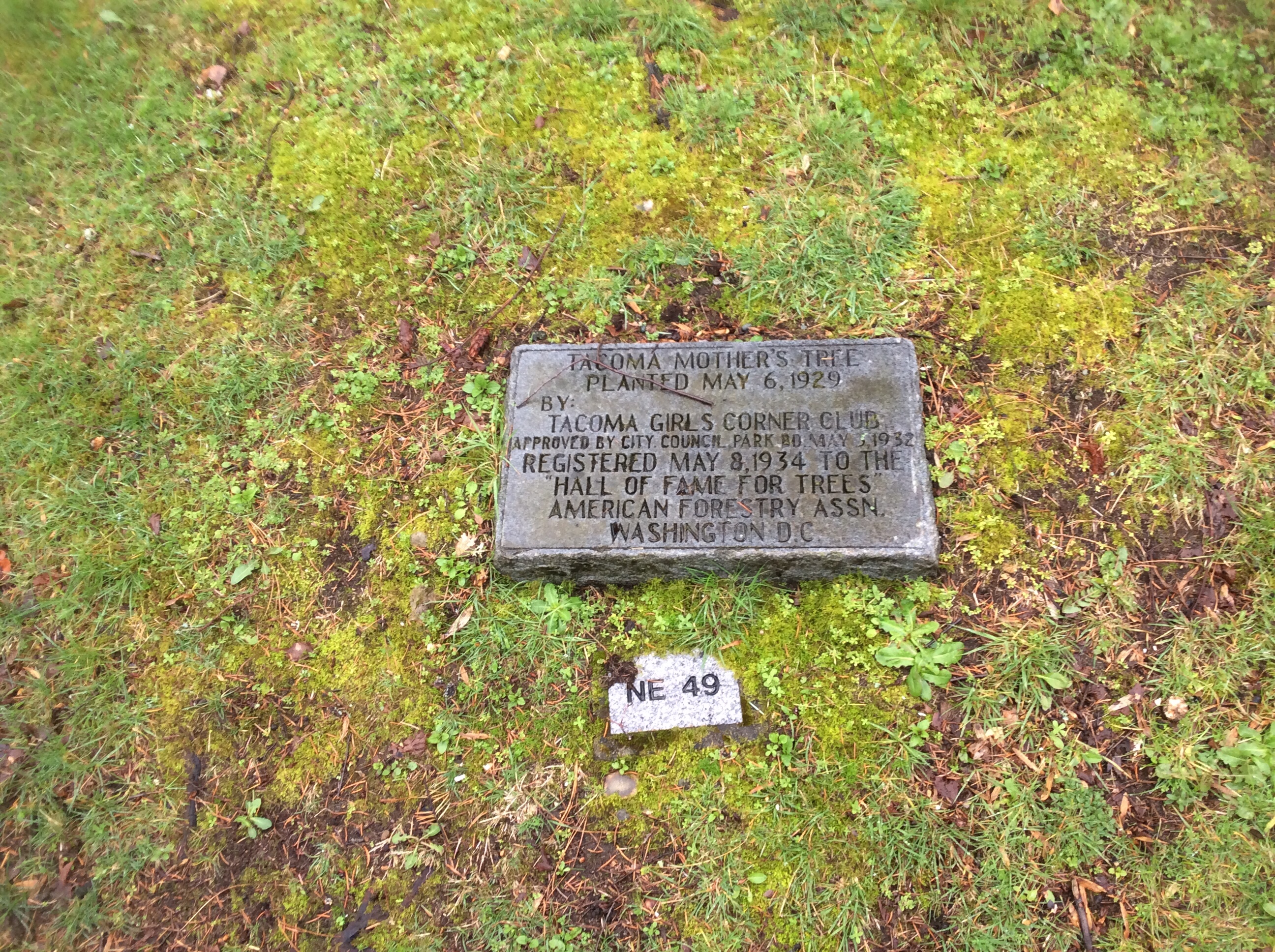 Mother's Tree Plaque